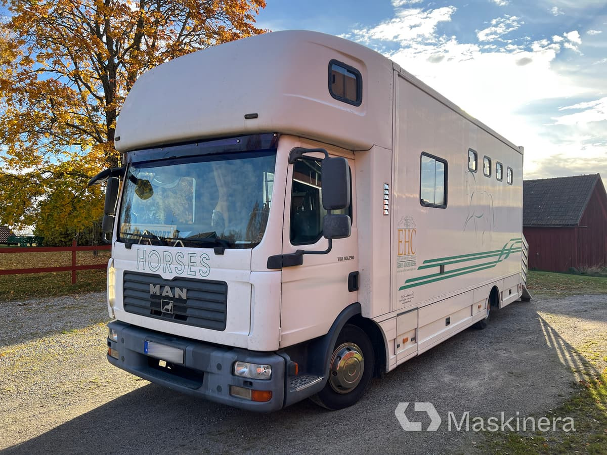 Hästlastbil MAN TGL 10.210 4X2 BL - شاحنة نقل خيل: صور 1 Hästlastbil MAN TGL 10.210 4X2 BL - شاحنة نقل خيل: صور 1
