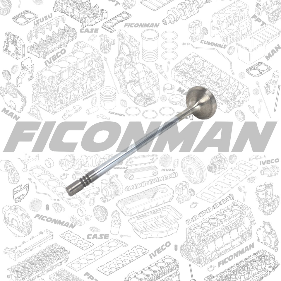 FORD Ford Trucks F-MAX ECOTORQ 9L Exhaust valve 2C46-6505-CA , T122136 , 2C466505CA - صمام - شاحنة: صور 1 FORD Ford Trucks F-MAX ECOTORQ 9L Exhaust valve 2C46-6505-CA , T122136 , 2C466505CA - صمام - شاحنة: صور 1