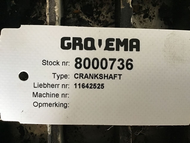 Liebherr Crankshaft - العمود المرفقي: صور 4 Liebherr Crankshaft - العمود المرفقي: صور 4