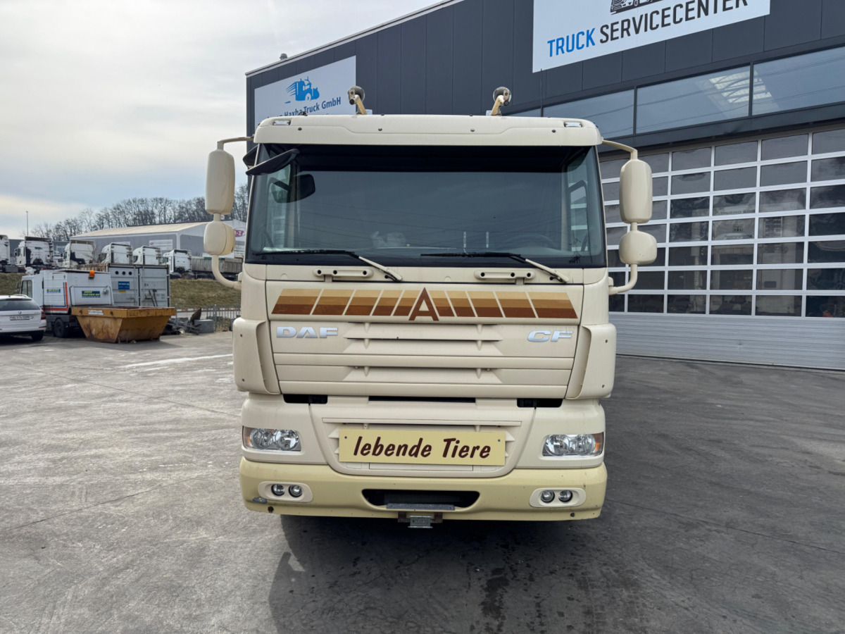DAF CF410 4x2 - شاحنة نقل المواشي شاحنة: صور 2 DAF CF410 4x2 - شاحنة نقل المواشي شاحنة: صور 2