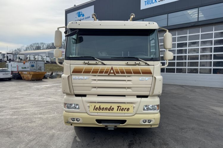 DAF CF410 4x2 - شاحنة نقل خيل: صور 2 DAF CF410 4x2 - شاحنة نقل خيل: صور 2