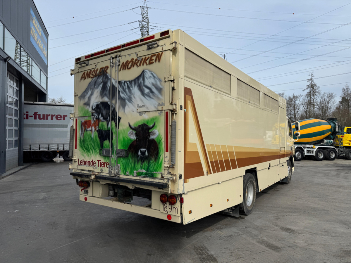 DAF CF410 4x2 - شاحنة نقل المواشي شاحنة: صور 5 DAF CF410 4x2 - شاحنة نقل المواشي شاحنة: صور 5