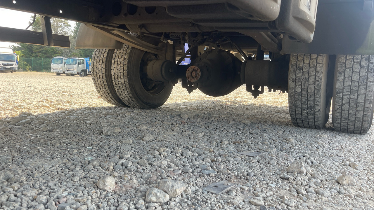 شاحنة ستارة DAF LF 180: صور 13