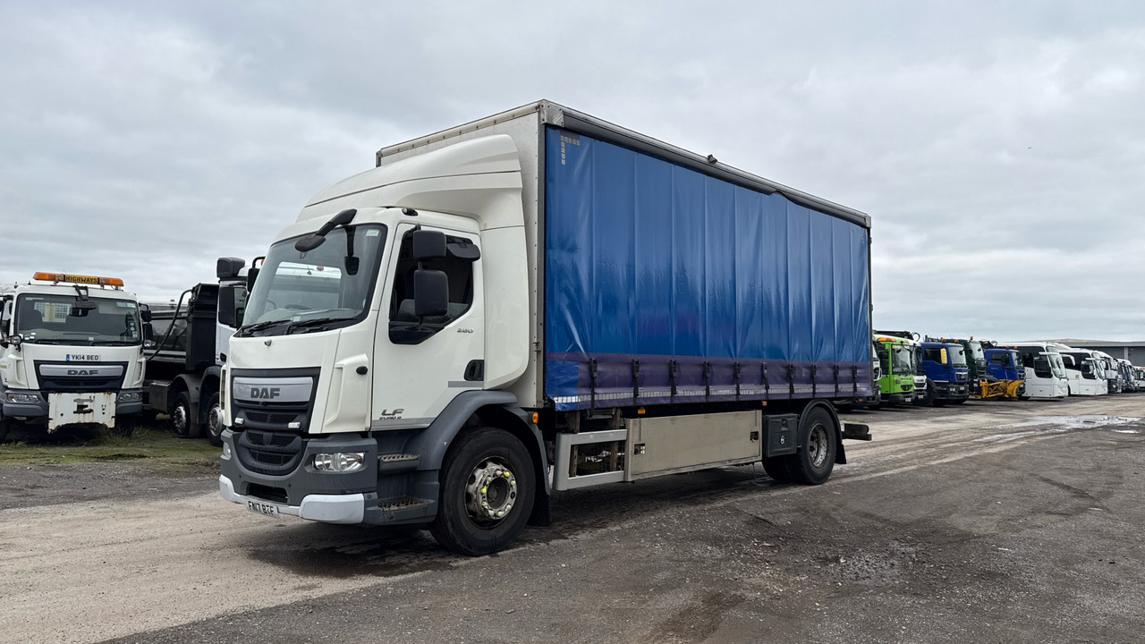 Daf LF 260 - شاحنة ستارة: صور 2 Daf LF 260 - شاحنة ستارة: صور 2