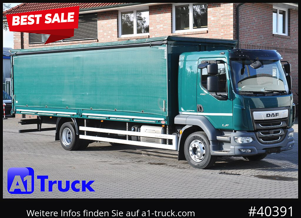 DAF LF 290, Klima, 16t Steckrungen, - شاحنة ستارة: صور 1 DAF LF 290, Klima, 16t Steckrungen, - شاحنة ستارة: صور 1