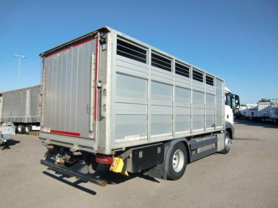 MAN TGS 18.420 Tiertransporter,Euro 6, Manual Seilwinde, el. Ladebordwand Voll Luft - شاحنة نقل خيل: صور 4 MAN TGS 18.420 Tiertransporter,Euro 6, Manual Seilwinde, el. Ladebordwand Voll Luft - شاحنة نقل خيل: صور 4
