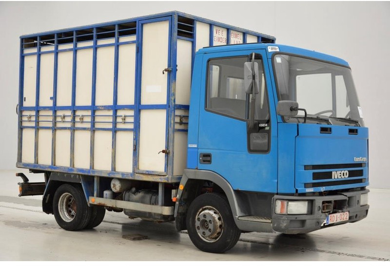 Iveco 65E14 - شاحنة نقل المواشي شاحنة: صور 3 Iveco 65E14 - شاحنة نقل المواشي شاحنة: صور 3