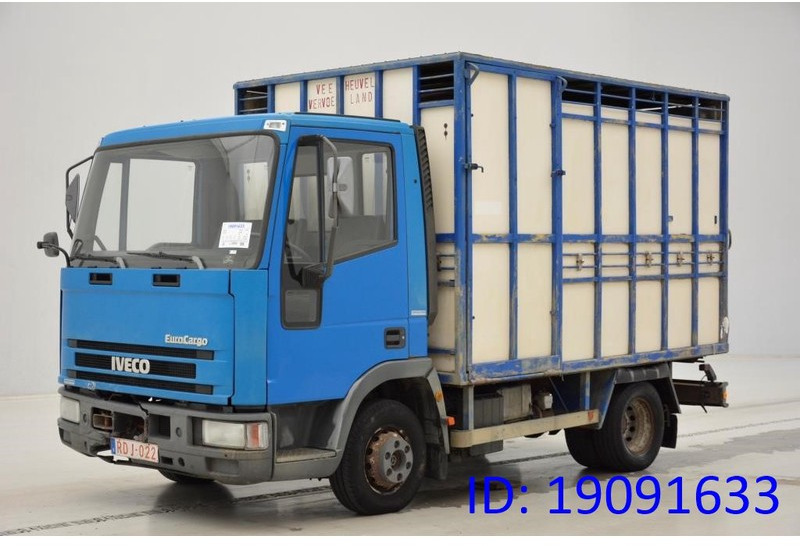Iveco 65E14 - شاحنة نقل المواشي شاحنة: صور 1 Iveco 65E14 - شاحنة نقل المواشي شاحنة: صور 1