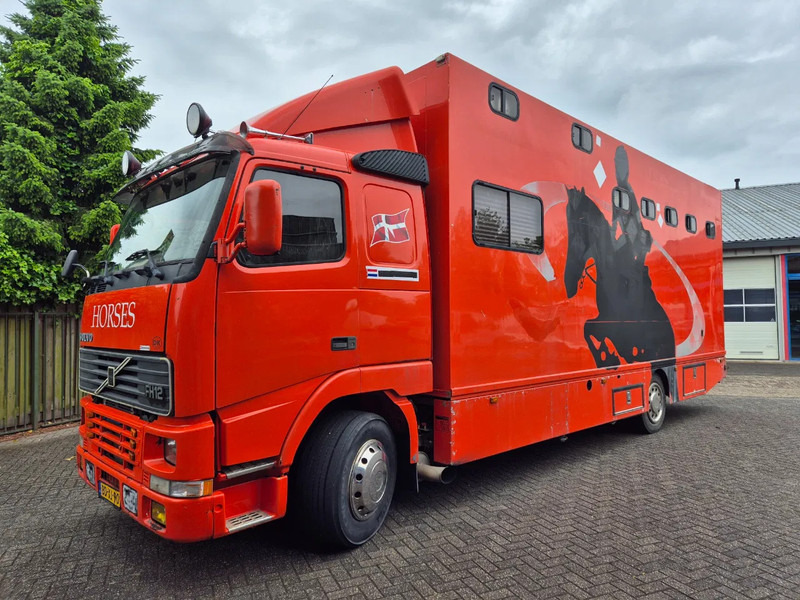 Volvo FH 12 380pk luchtgeveerd voor en achteras - شاحنة نقل خيل: صور 1 Volvo FH 12 380pk luchtgeveerd voor en achteras - شاحنة نقل خيل: صور 1