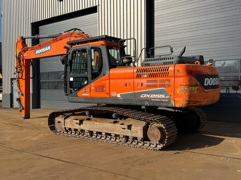 Doosan DX255NLC-5 - حفارات زحافة: صور 2 Doosan DX255NLC-5 - حفارات زحافة: صور 2
