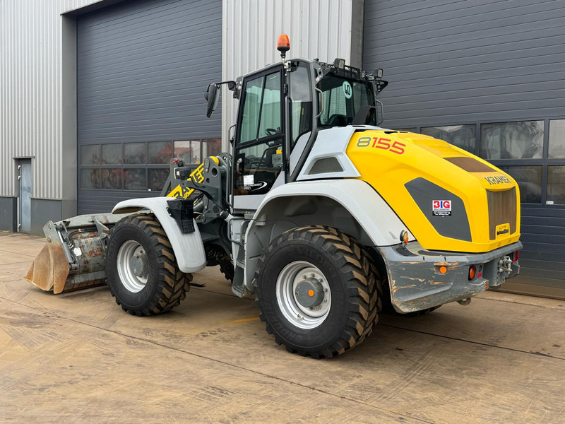 Kramer 8155 / Forks / bucket - اللودر بعجل: صور 2 Kramer 8155 / Forks / bucket - اللودر بعجل: صور 2