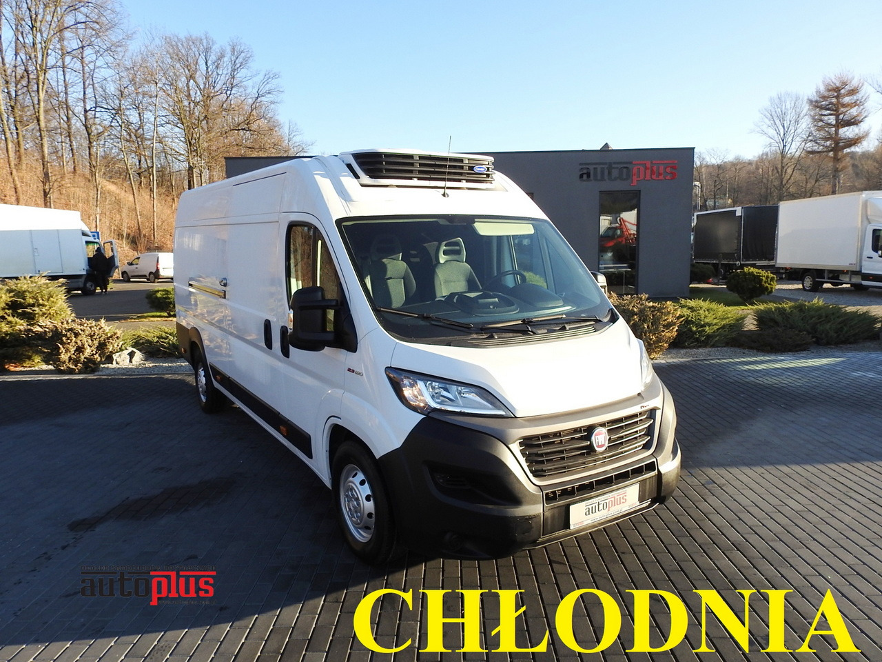 FIAT DUCATO REFRIGERATOR VAN -10*C POWER SUPPLY 230V AIR CONDITIONING 175HP - الشاحنات الصغيرة المبردة: صور 1 FIAT DUCATO REFRIGERATOR VAN -10*C POWER SUPPLY 230V AIR CONDITIONING 175HP - الشاحنات الصغيرة المبردة: صور 1
