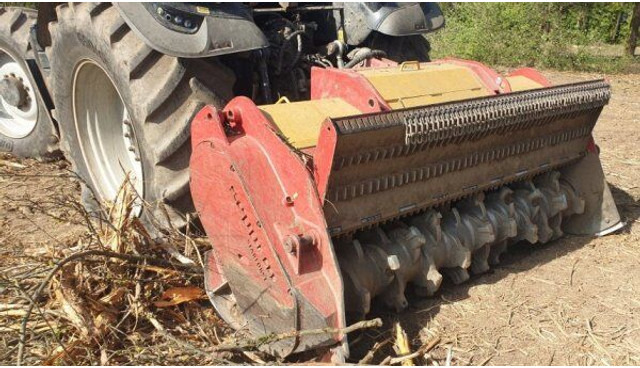 SEPPI M Starforst 2MEC 235 - ماكينات قطع الحشائش الغابات: صور 1 SEPPI M Starforst 2MEC 235 - ماكينات قطع الحشائش الغابات: صور 1