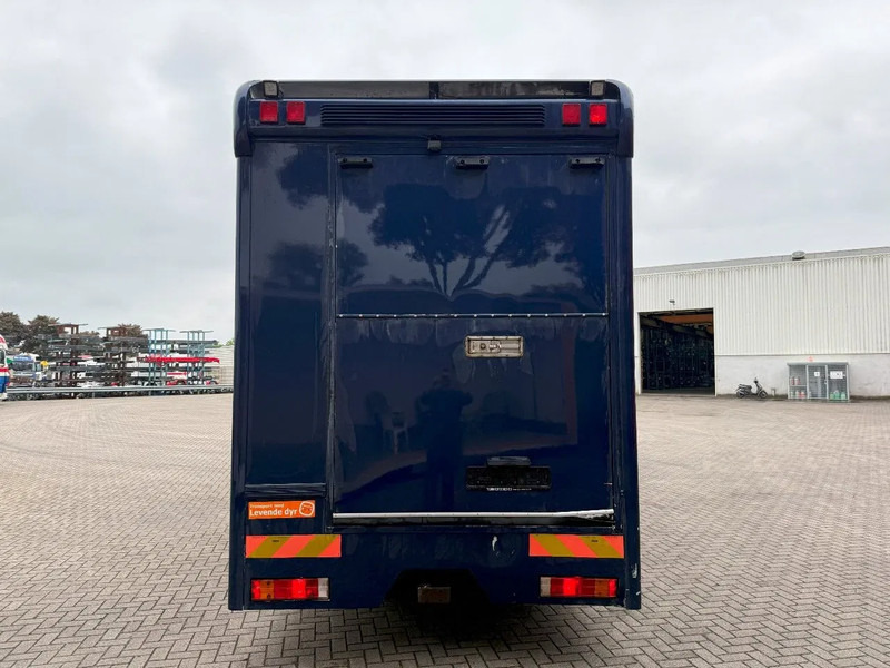 Mercedes-Benz Atego 1223 / ENGINE RUNNING / ONLY:159450 KM / HORSETRUCK / HEATED BOX / WATERTANK / LIVING ROOM / EURO-2 / MANUAL / 1998 - شاحنة نقل خيل: صور 4 Mercedes-Benz Atego 1223 / ENGINE RUNNING / ONLY:159450 KM / HORSETRUCK / HEATED BOX / WATERTANK / LIVING ROOM / EURO-2 / MANUAL / 1998 - شاحنة نقل خيل: صور 4