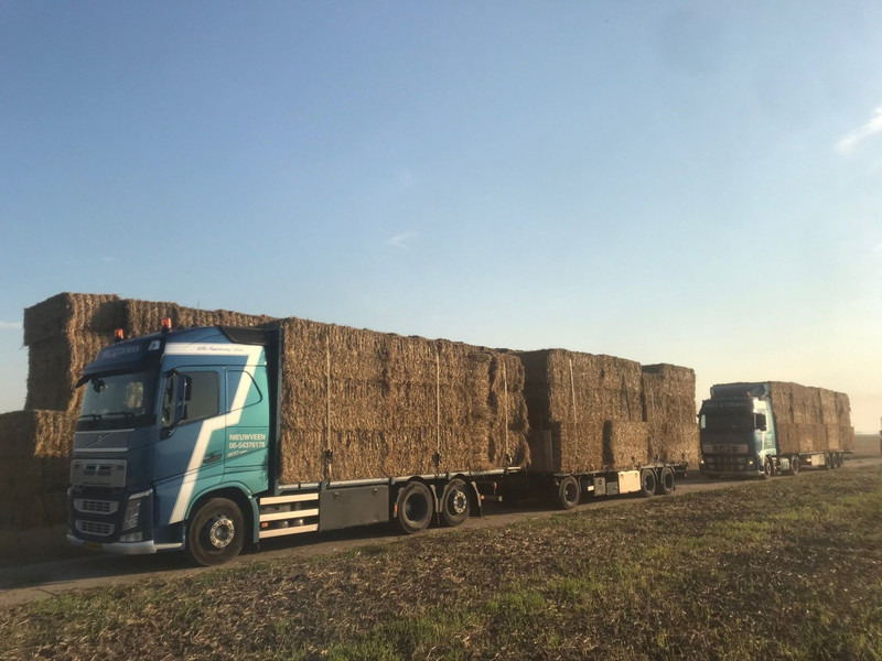 Volvo FH460, HMF 1244 Skip loading platform - شاحنة كرين: صور 5 Volvo FH460, HMF 1244 Skip loading platform - شاحنة كرين: صور 5