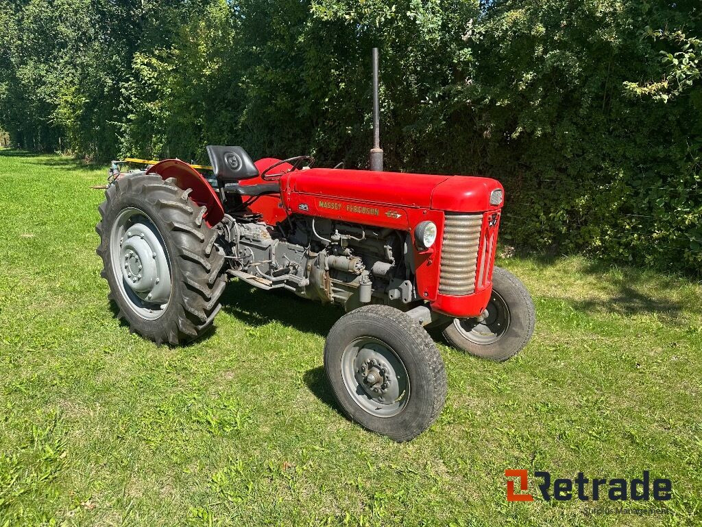 Traktor Massey Ferguson 65 - جرار: صور 4 Traktor Massey Ferguson 65 - جرار: صور 4