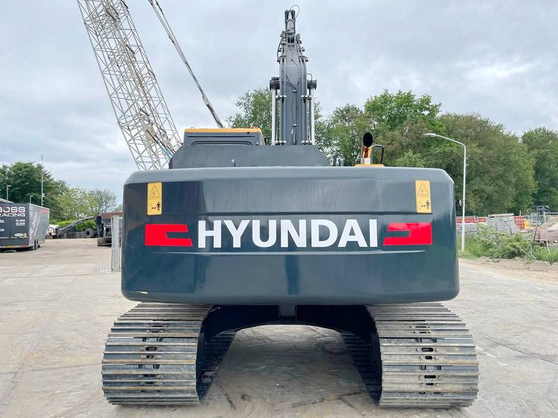 Hyundai R245LR - *2025 Model* New / Unused - حفارة: صور 3 Hyundai R245LR - *2025 Model* New / Unused - حفارة: صور 3