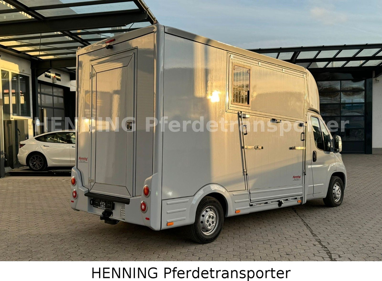 Citroën Jumper 3 - Sitzer - شاحنة نقل المواشي شاحنة: صور 3 Citroën Jumper 3 - Sitzer - شاحنة نقل المواشي شاحنة: صور 3