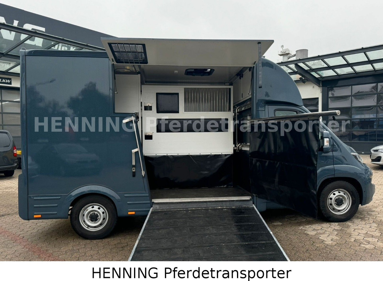 Fiat Ducato *AUTOMATIK* 3 - Sitzer - شاحنة نقل المواشي شاحنة: صور 4 Fiat Ducato *AUTOMATIK* 3 - Sitzer - شاحنة نقل المواشي شاحنة: صور 4