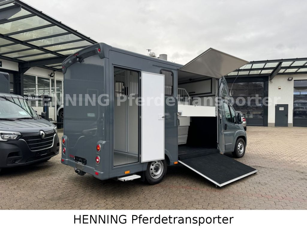 Fiat Ducato *NEUWAGEN* ca.1100 kg Nutzlast - شاحنة نقل خيل: صور 3 Fiat Ducato *NEUWAGEN* ca.1100 kg Nutzlast - شاحنة نقل خيل: صور 3