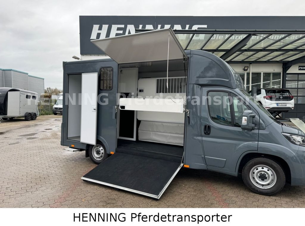 Fiat Ducato *NEUWAGEN* ca.1100 kg Nutzlast - شاحنة نقل خيل: صور 4 Fiat Ducato *NEUWAGEN* ca.1100 kg Nutzlast - شاحنة نقل خيل: صور 4