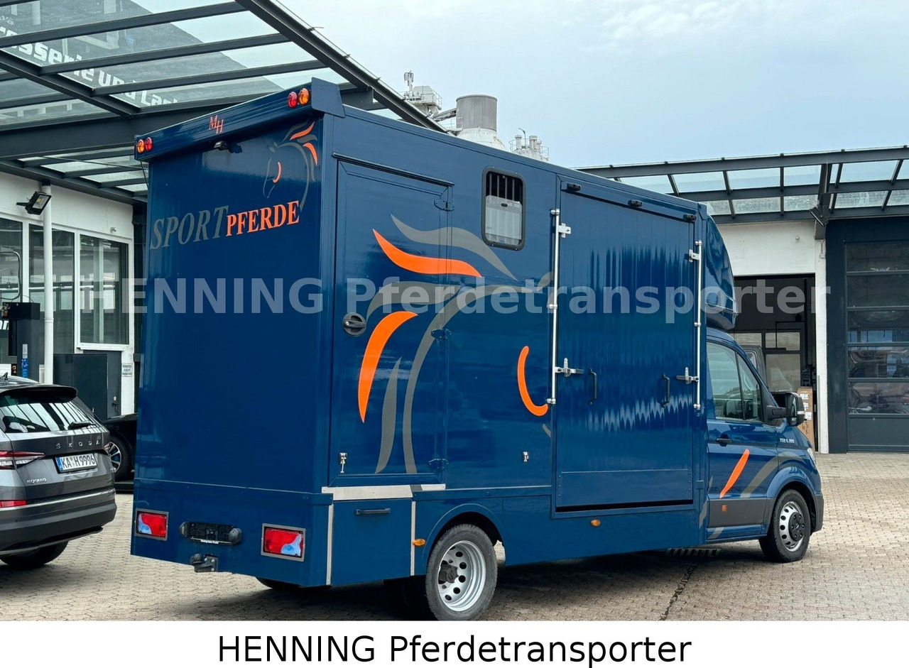 MAN TGE 5.500kg Gesamtgewicht - شاحنة نقل المواشي شاحنة: صور 3 MAN TGE 5.500kg Gesamtgewicht - شاحنة نقل المواشي شاحنة: صور 3