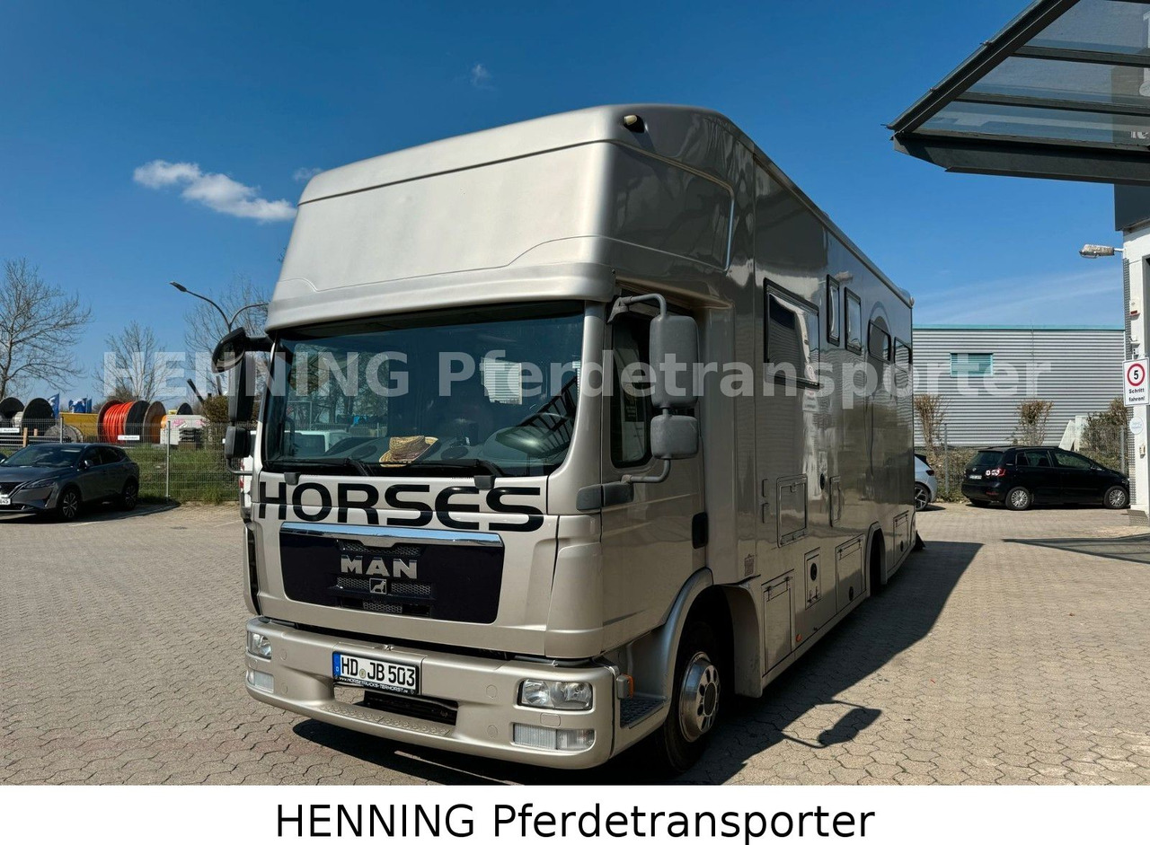 MAN TGL PFERDETRANSPORTER RJH - شاحنة نقل المواشي شاحنة: صور 2 MAN TGL PFERDETRANSPORTER RJH - شاحنة نقل المواشي شاحنة: صور 2
