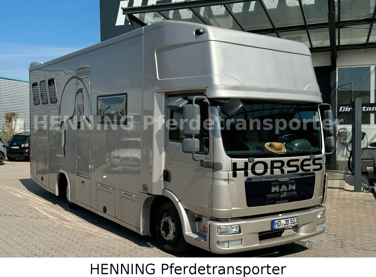 MAN TGL PFERDETRANSPORTER RJH - شاحنة نقل المواشي شاحنة: صور 3 MAN TGL PFERDETRANSPORTER RJH - شاحنة نقل المواشي شاحنة: صور 3