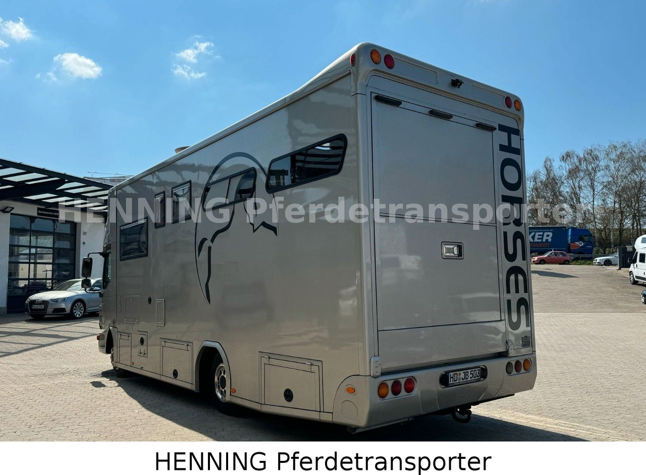 MAN TGL PFERDETRANSPORTER RJH - شاحنة نقل المواشي شاحنة: صور 4 MAN TGL PFERDETRANSPORTER RJH - شاحنة نقل المواشي شاحنة: صور 4