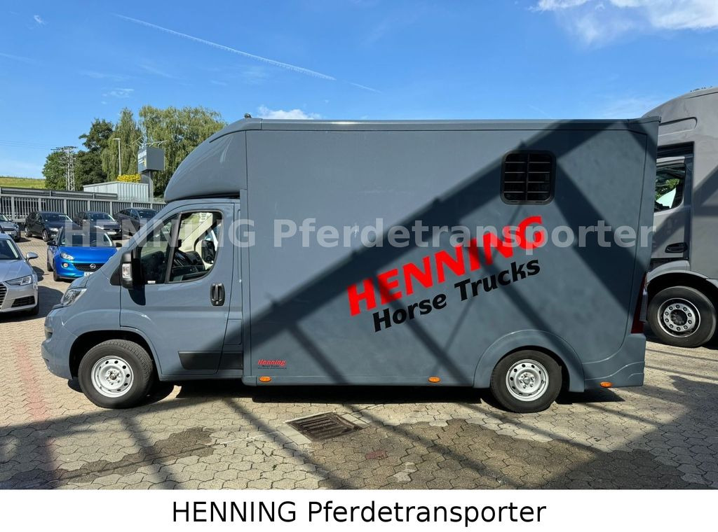 شاحنة نقل خيل Opel Movano 3 - Sitzer *AUFBAU NEU*: صور 10