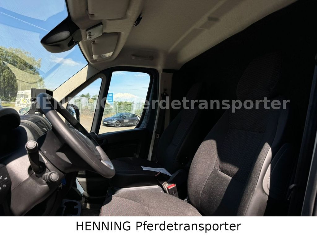 شاحنة نقل خيل Opel Movano 3 - Sitzer *AUFBAU NEU*: صور 11