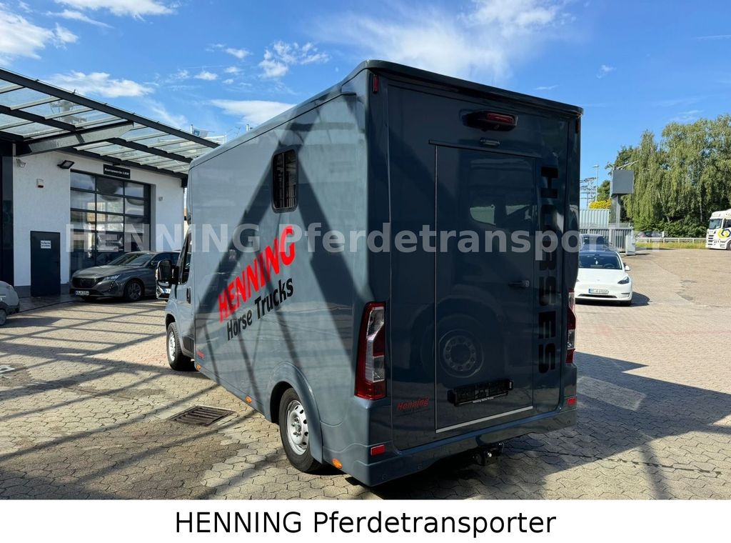 شاحنة نقل خيل Opel Movano 3 - Sitzer *AUFBAU NEU*: صور 8
