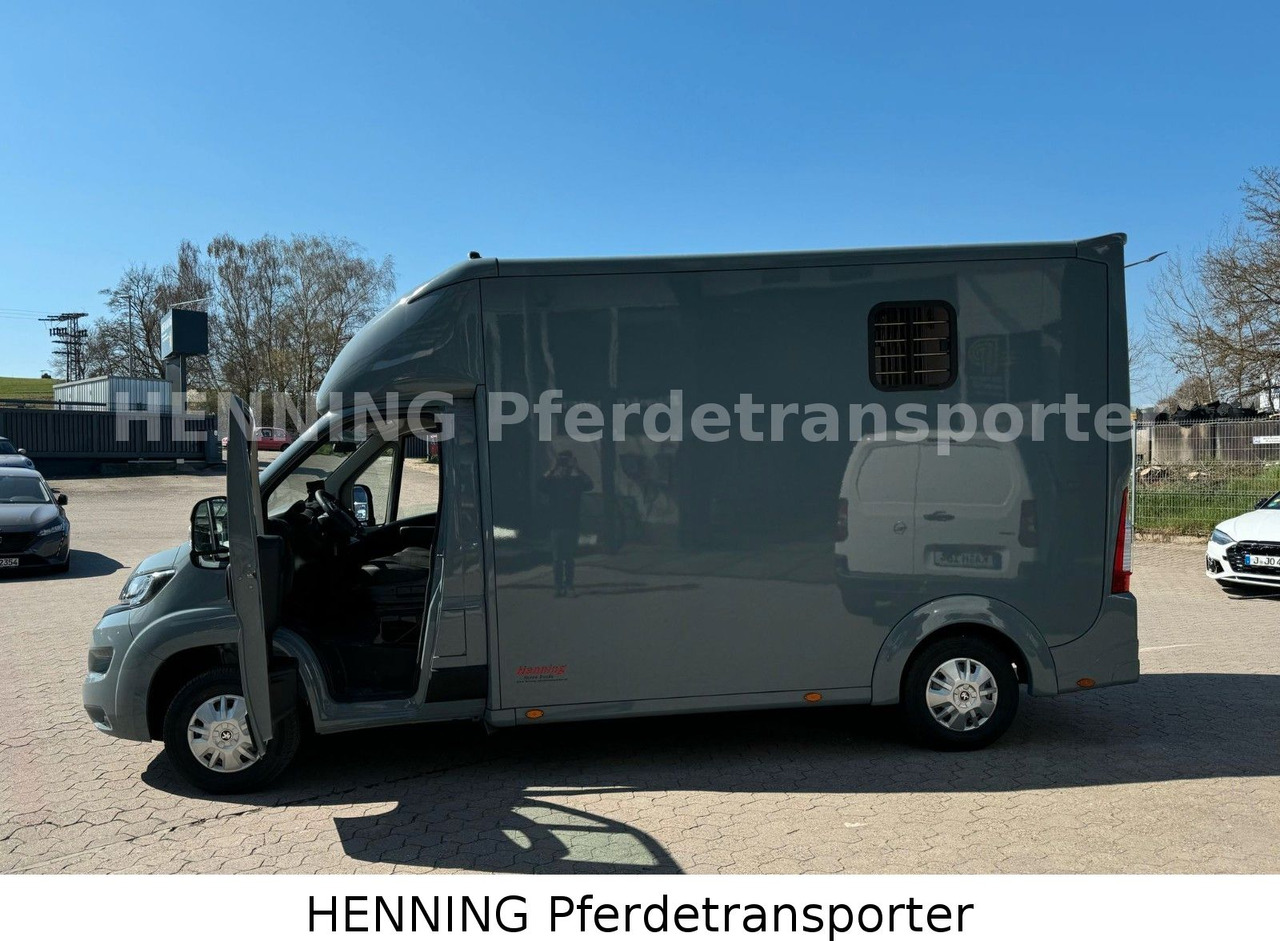 شاحنة نقل خيل Peugeot Boxer 3-Sitzer *NEUWAGEN* 1000 KG NUTZLAST: صور 13