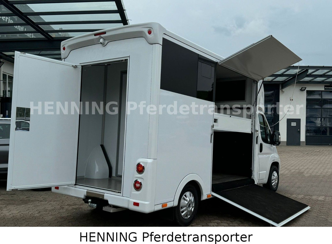 Peugeot Boxer *NEUWAGEN* ca. 1.200kg Nutzlast - شاحنة نقل المواشي شاحنة: صور 4 Peugeot Boxer *NEUWAGEN* ca. 1.200kg Nutzlast - شاحنة نقل المواشي شاحنة: صور 4