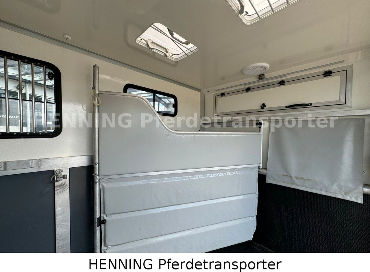 شاحنة نقل خيل, الشاحنات الصغيرة Renault 3-Sitzer: صور 7