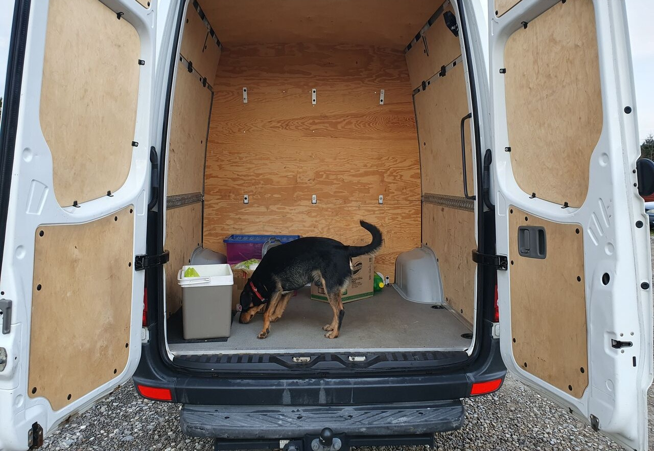 صغيرة, ميكروباص Mercedes-Benz SPRINTER 319 9 OSOB KLIMA WEBASTO TV TYL  PODUSZKI EURO5 [ Copy ]: صور 8