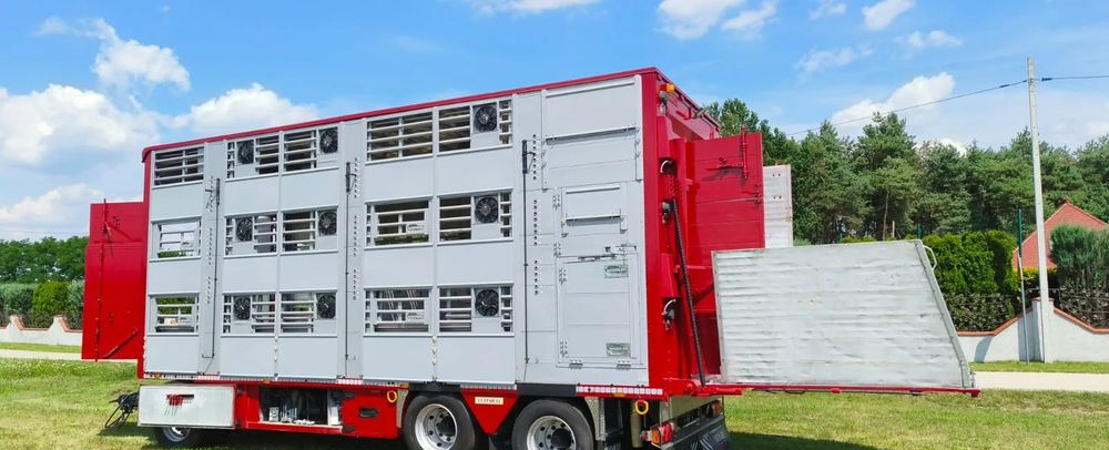 Pezzaioli RBA 32/TRZYOSIOWA PRZYCZEPA-2XBYDŁO,3X TRZODA/HYDRAULICZNIE PODNOSZONY DACH I PODŁOGI / OŚ ŚRODKOWA PODNOSZONA - شاحنة نقل المواشي مقطورة: صور 2 Pezzaioli RBA 32/TRZYOSIOWA PRZYCZEPA-2XBYDŁO,3X TRZODA/HYDRAULICZNIE PODNOSZONY DACH I PODŁOGI / OŚ ŚRODKOWA PODNOSZONA - شاحنة نقل المواشي مقطورة: صور 2