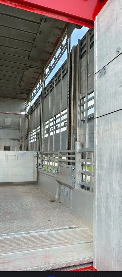 شاحنة نقل المواشي مقطورة Pezzaioli RBA22 Dwuosiowa Przyczepa – 2x Bydło, 3x Trzoda – 2017r – Bezwypadkowa!: صور 9