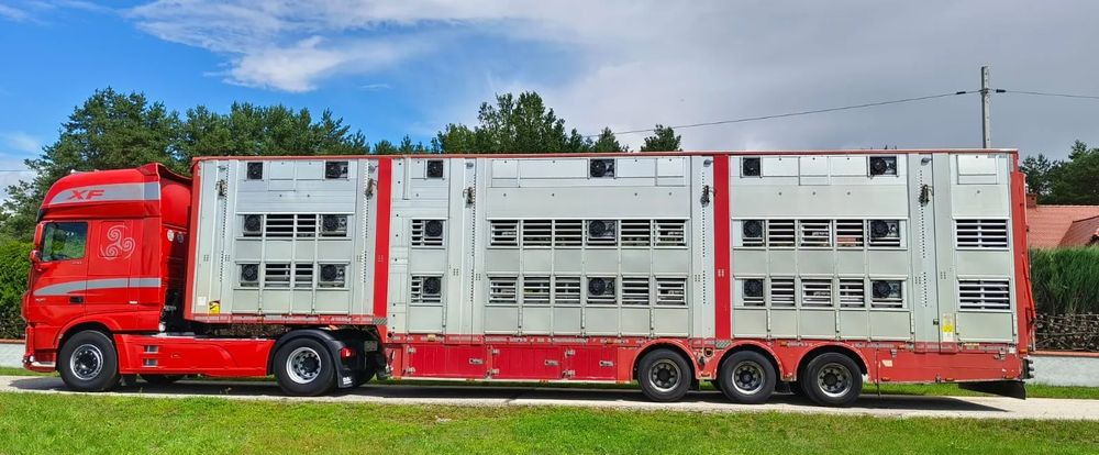 Pezzaioli SBA32/hydrauliczny dach/hydrauliczna rampa/ 3 poziomy/ 2xbydło -3xtrzoda/wentylatory/poidła/sterowanie pilotem - شاحنة نقل المواشي نصف مقطورة: صور 2 Pezzaioli SBA32/hydrauliczny dach/hydrauliczna rampa/ 3 poziomy/ 2xbydło -3xtrzoda/wentylatory/poidła/sterowanie pilotem - شاحنة نقل المواشي نصف مقطورة: صور 2
