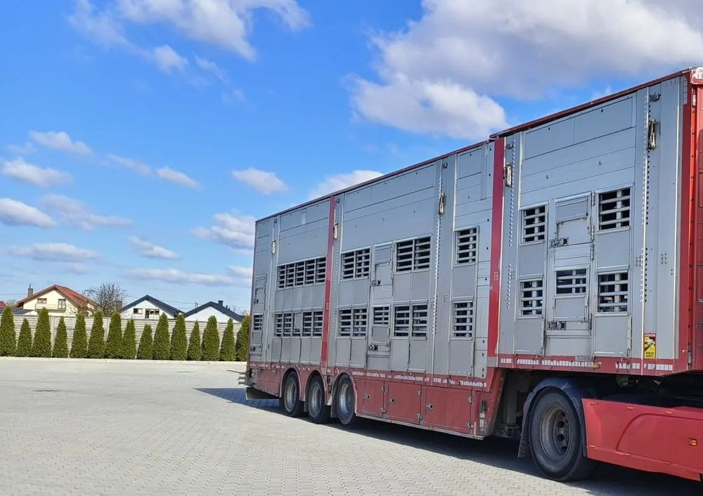 Pezzaioli SBA32/hydrauliczny dach/hydrauliczna rampa/ 3 poziomy/ 2xbydło -3xtrzoda/wentylatory/poidła/sterowanie pilotem - شاحنة نقل المواشي نصف مقطورة: صور 1 Pezzaioli SBA32/hydrauliczny dach/hydrauliczna rampa/ 3 poziomy/ 2xbydło -3xtrzoda/wentylatory/poidła/sterowanie pilotem - شاحنة نقل المواشي نصف مقطورة: صور 1