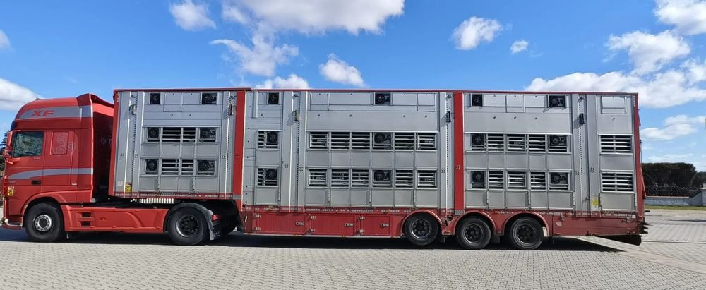 Pezzaioli SBA32/hydrauliczny dach/hydrauliczna rampa/ 3 poziomy/ 2xbydło -3xtrzoda/wentylatory/poidła/sterowanie pilotem - شاحنة نقل المواشي نصف مقطورة: صور 3 Pezzaioli SBA32/hydrauliczny dach/hydrauliczna rampa/ 3 poziomy/ 2xbydło -3xtrzoda/wentylatory/poidła/sterowanie pilotem - شاحنة نقل المواشي نصف مقطورة: صور 3