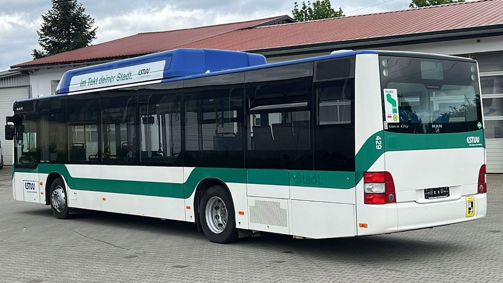 MAN A 21 CNG Euro 5 EEV MAN A 21 CNG Euro 5 EEV - النقل الحضري: صور 5 MAN A 21 CNG Euro 5 EEV MAN A 21 CNG Euro 5 EEV - النقل الحضري: صور 5