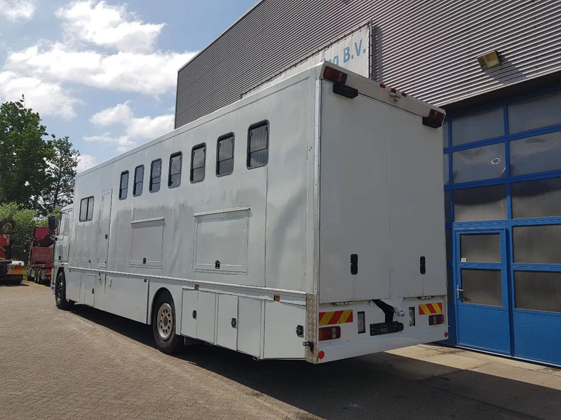 DAF 95.350 Paardenwagen met zitverblijf 7 paarden 7 horses - شاحنة نقل خيل: صور 4 DAF 95.350 Paardenwagen met zitverblijf 7 paarden 7 horses - شاحنة نقل خيل: صور 4