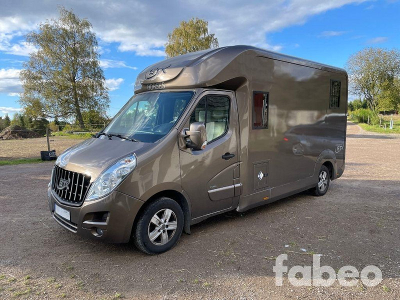 Opel STX Movano - شاحنة نقل خيل: صور 1 Opel STX Movano - شاحنة نقل خيل: صور 1