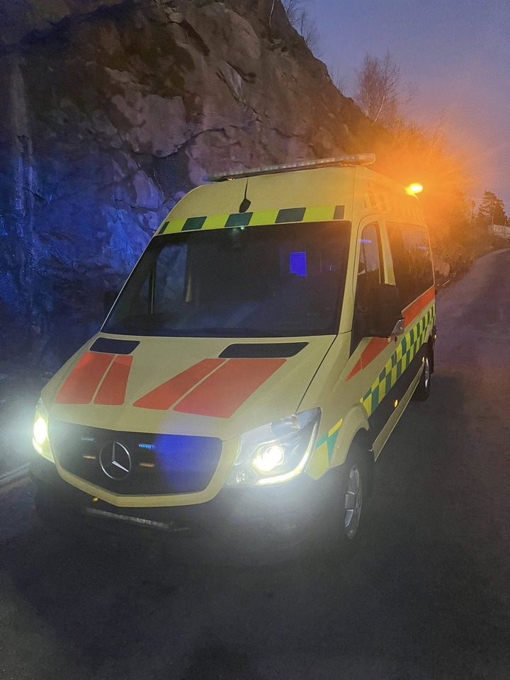 سيارة إسعاف MERCEDES-BENZ Sprinter 319 - Light AMBULANCE / shvydka dopomo: صور 36