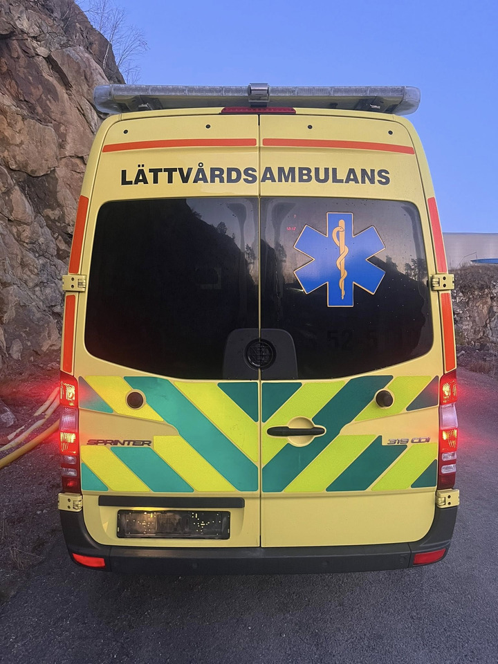 سيارة إسعاف MERCEDES-BENZ Sprinter 319 - Light AMBULANCE / shvydka dopomo: صور 8