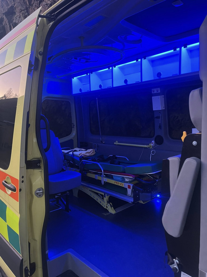 سيارة إسعاف MERCEDES-BENZ Sprinter 319 - Light AMBULANCE / shvydka dopomo: صور 23