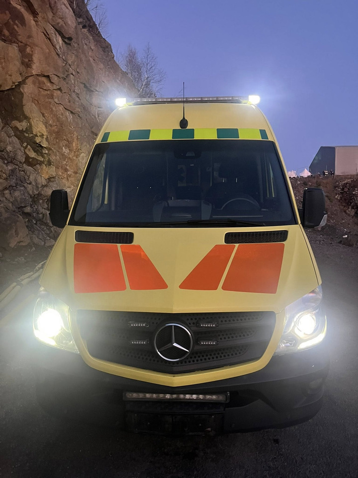 سيارة إسعاف MERCEDES-BENZ Sprinter 319 - Light AMBULANCE / shvydka dopomo: صور 31