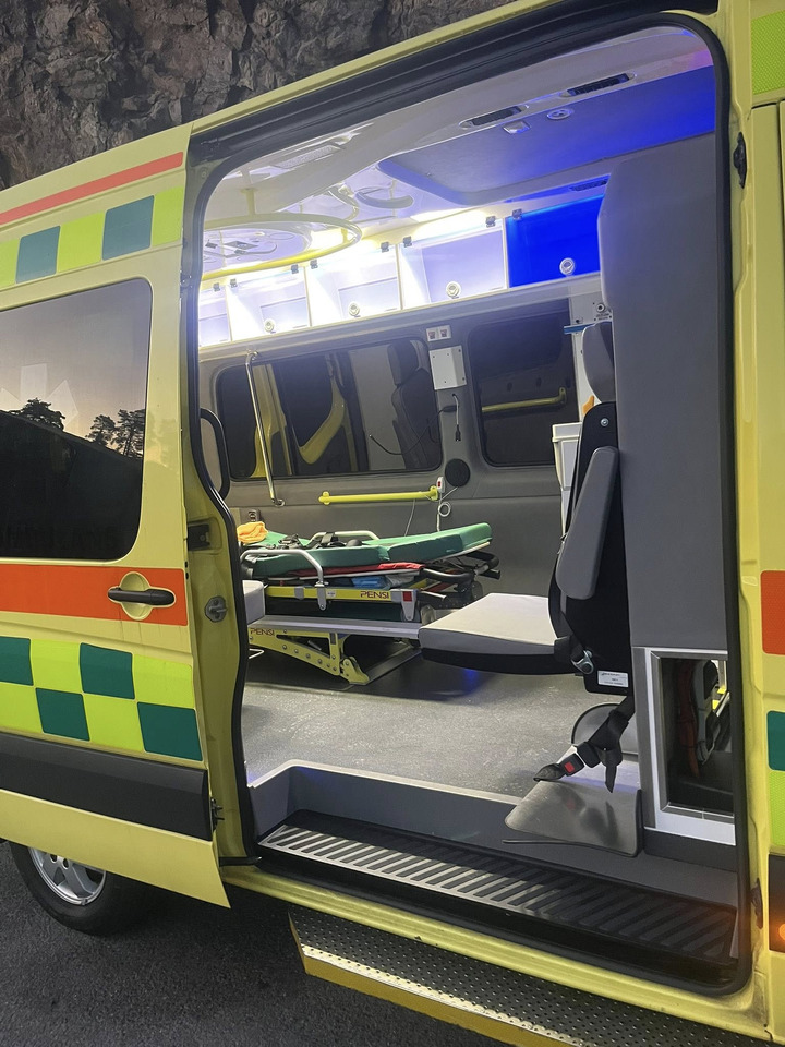 سيارة إسعاف MERCEDES-BENZ Sprinter 319 - Light AMBULANCE / shvydka dopomo: صور 24