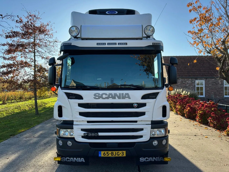 Scania P280 / NL TRUCK / EURO 6 / FULL AIR / CARRIER SUPRA 1250 / TOPCONDITION / LIFT+DOORS - مبردة شاحنة: صور 2 Scania P280 / NL TRUCK / EURO 6 / FULL AIR / CARRIER SUPRA 1250 / TOPCONDITION / LIFT+DOORS - مبردة شاحنة: صور 2